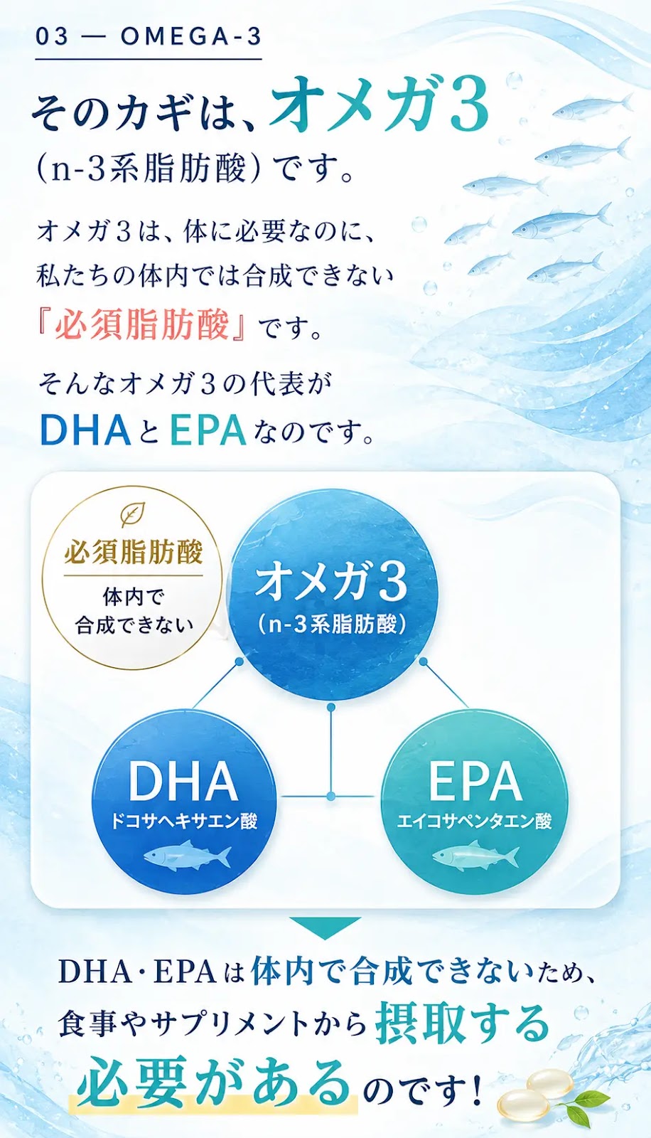 そのカギは、オメガ3。DHA・EPAは体内で合成できない必須脂肪酸